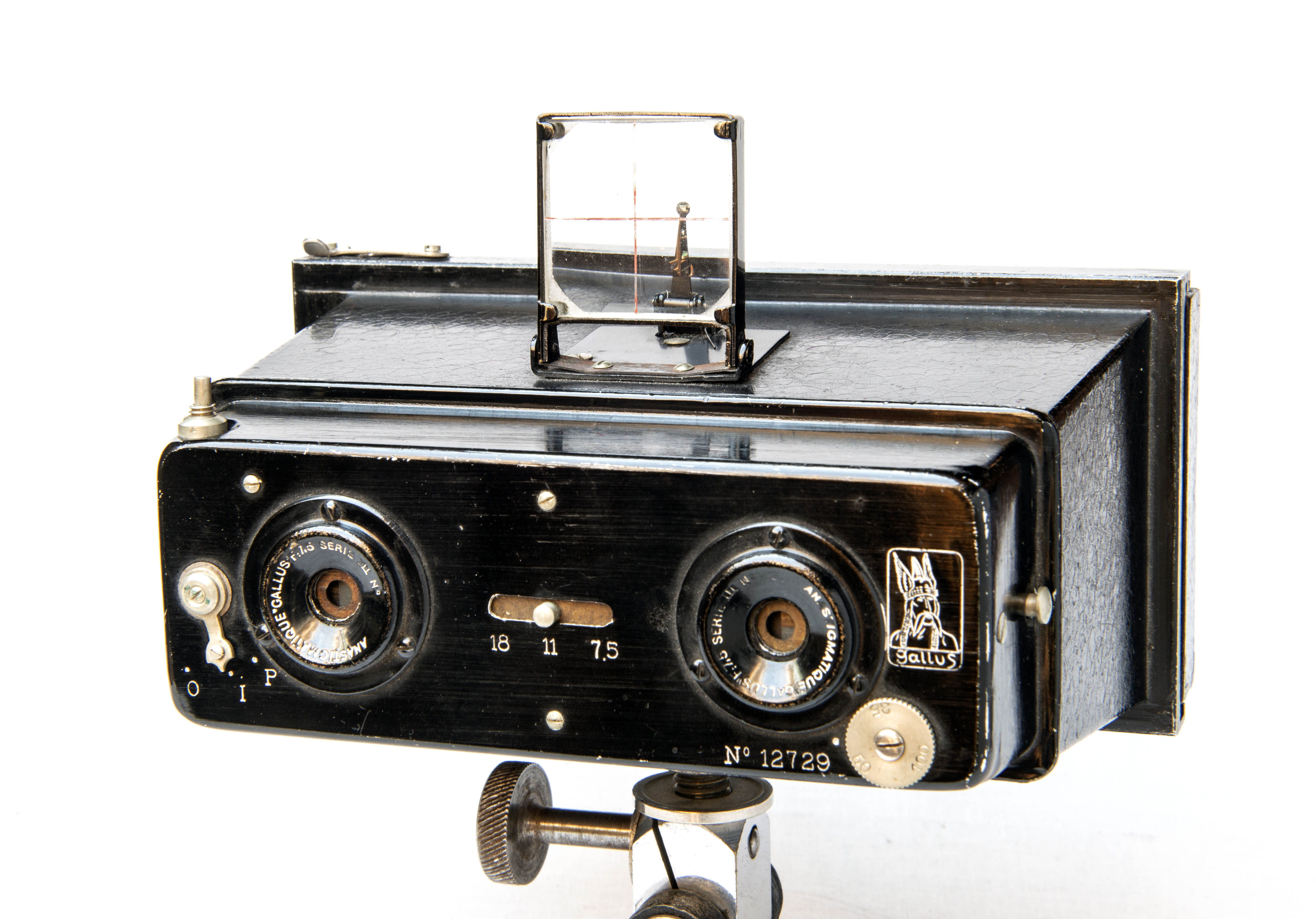 Gallus stereo Jumelle N° 0